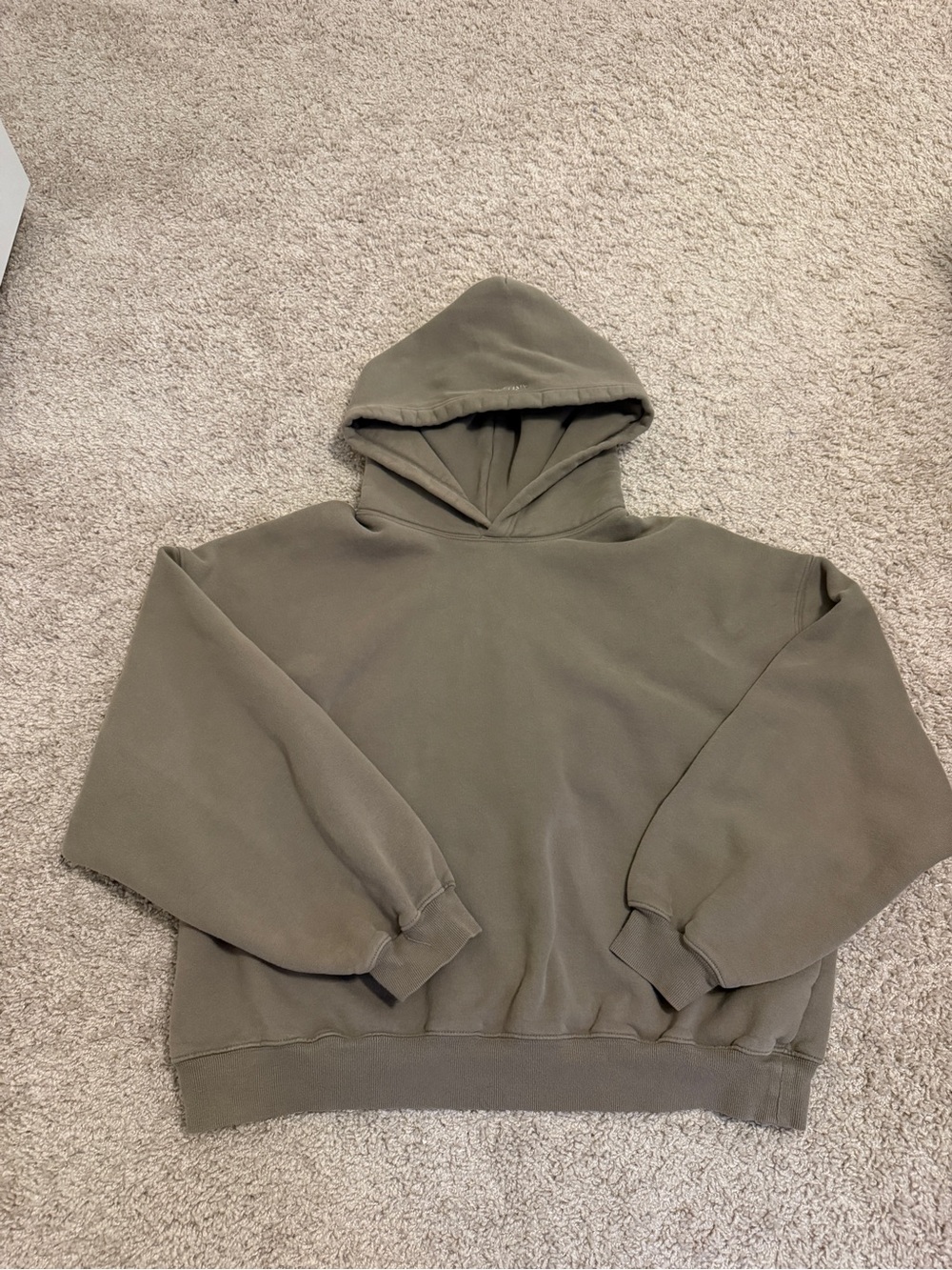 Aritzia light brown hoodie